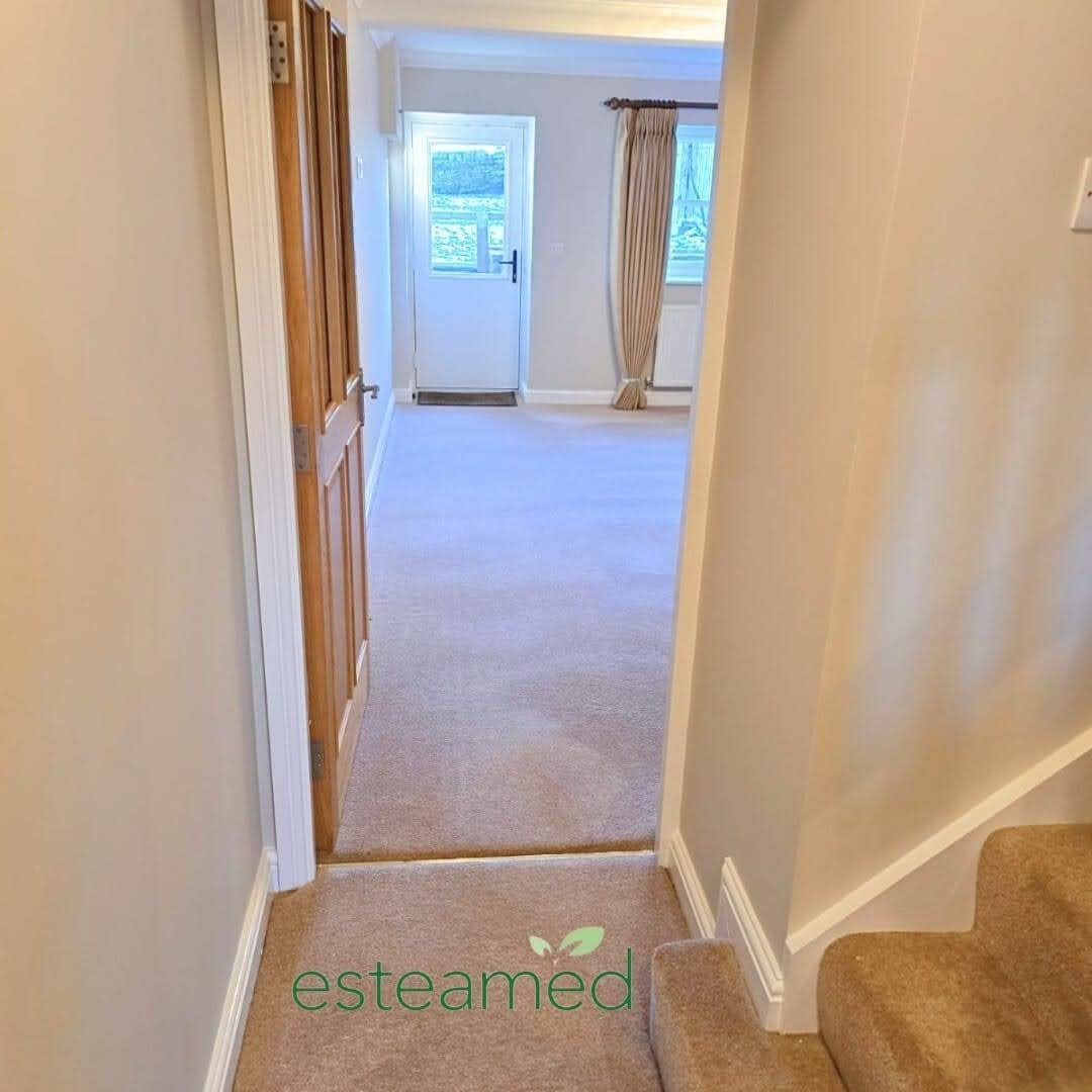 Spotless hallway carpet after end of tenancy deep clean — ready for deposit return inspection