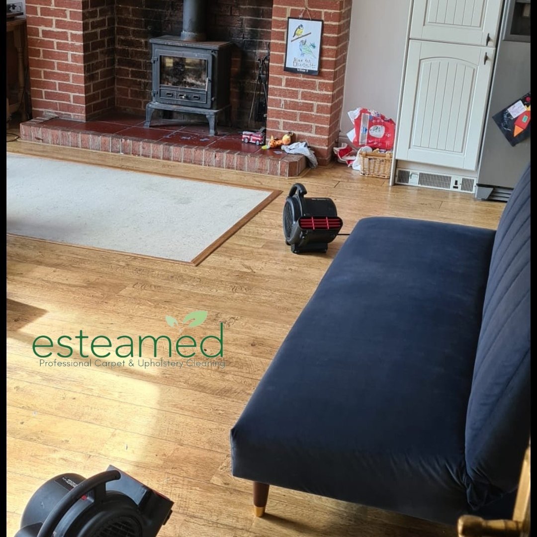 Rug Cleaning