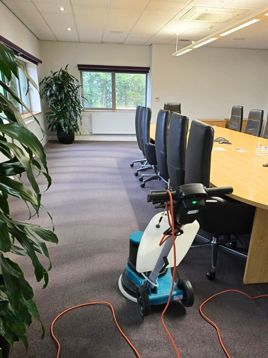 Commercial Carpet Cleaning