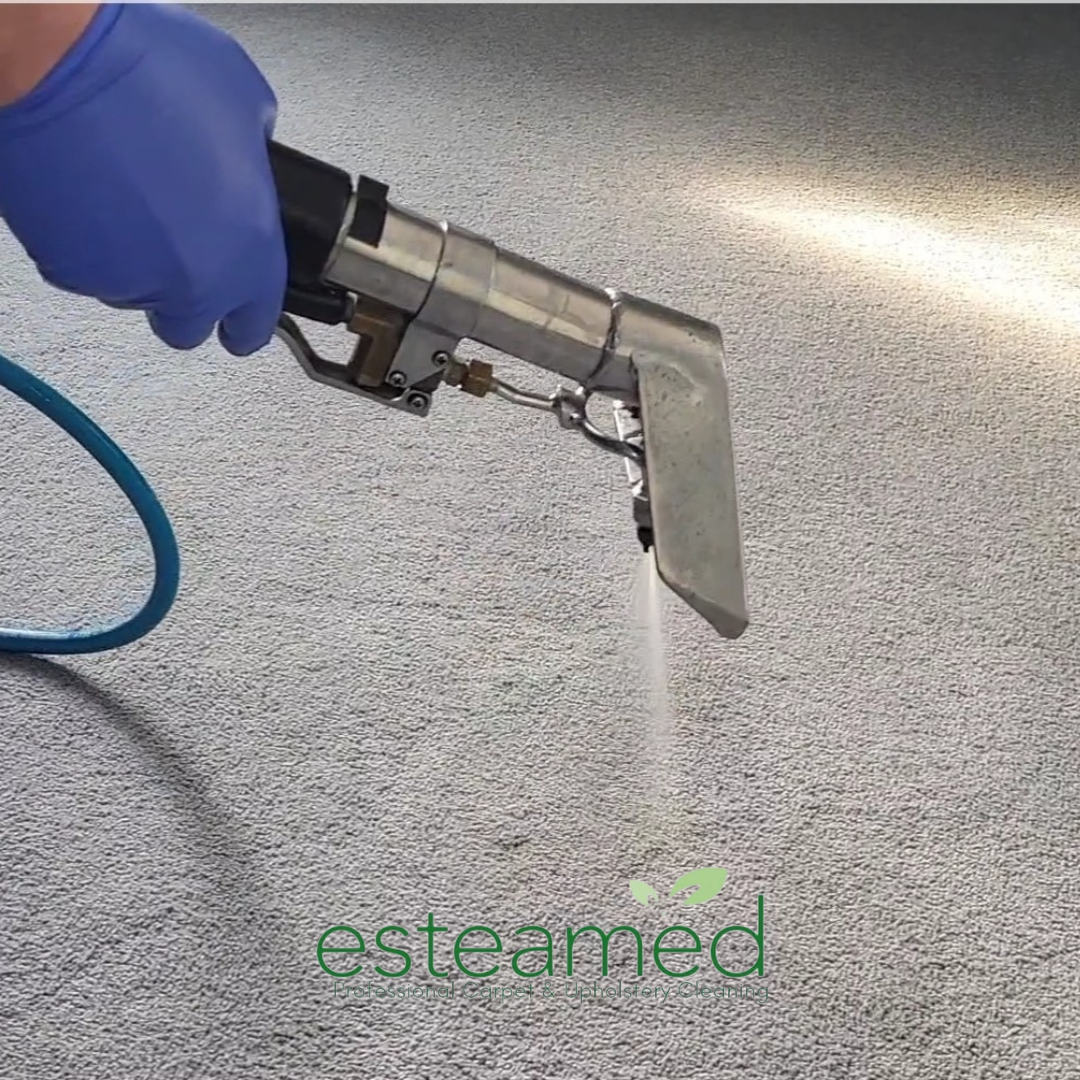 Stain & Odour Removal